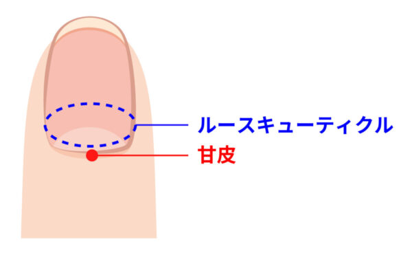 【ジェル】フレンチネイルは難しくない！基本のやり方と時短グッズを解説します